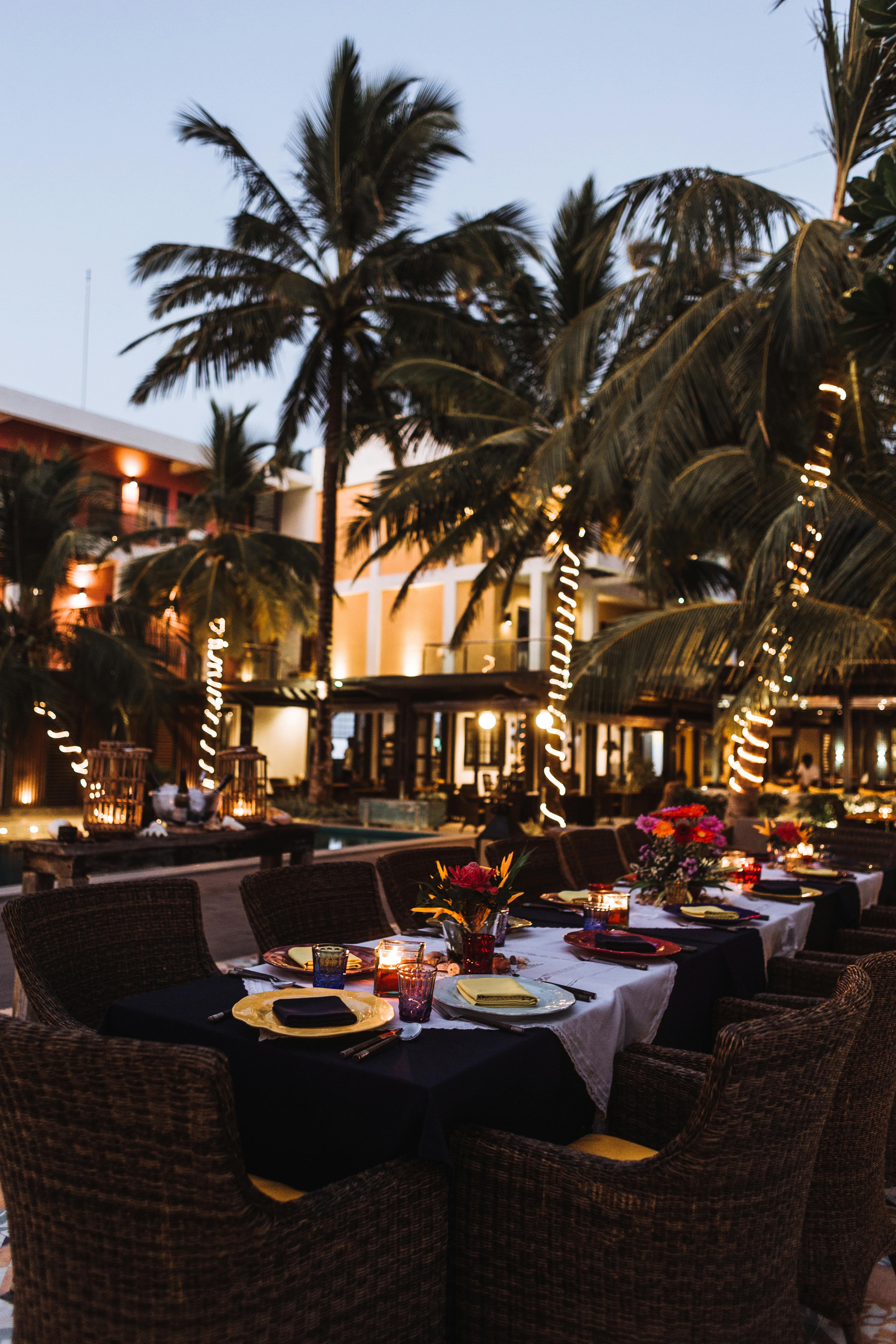 Themed Dinner